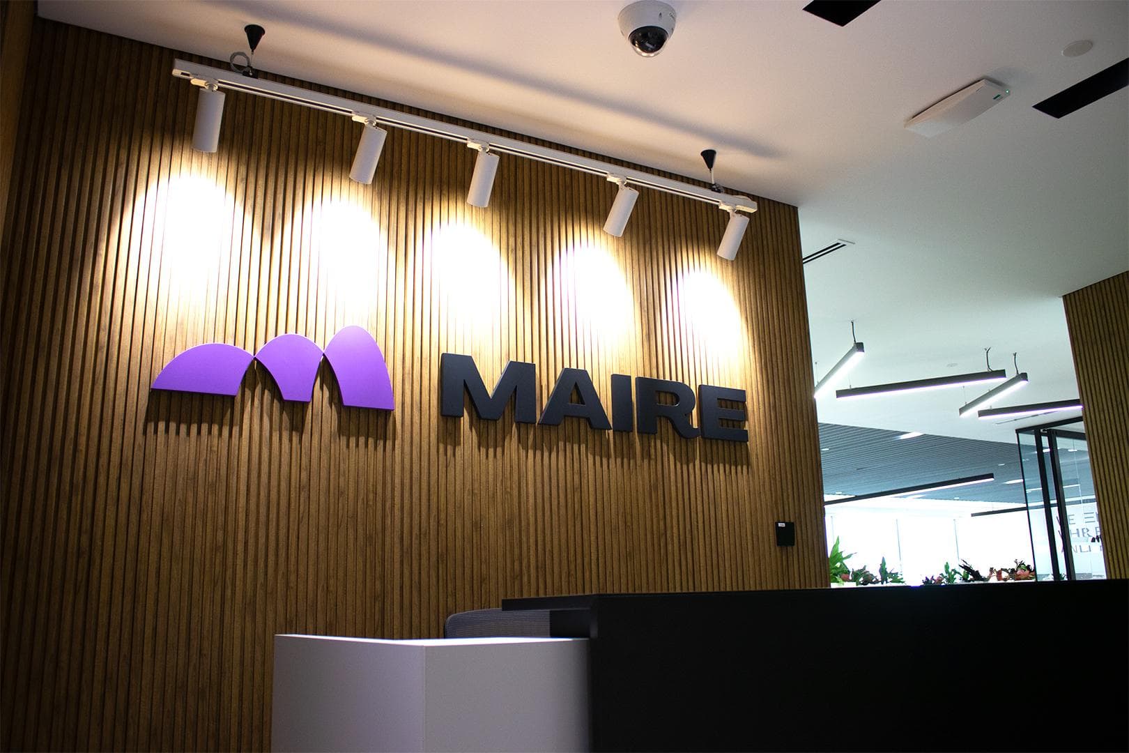 Maire reception wall with track lighting and integrated CCTV security camera