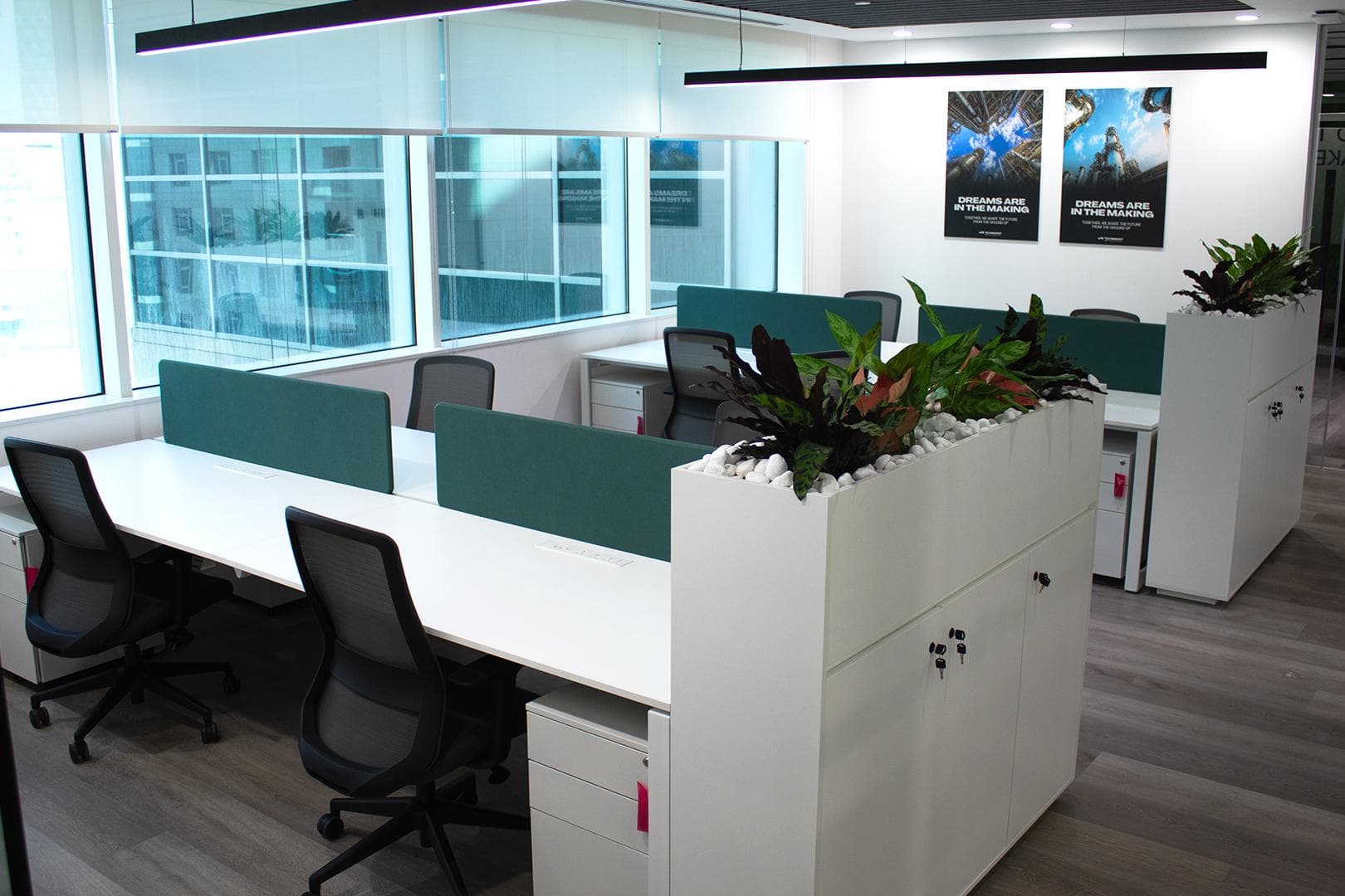 Cable-managed workstations with acoustic screens and planted dividers in a completed corporate fit-out